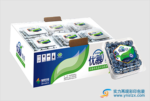 云南水果包装厂